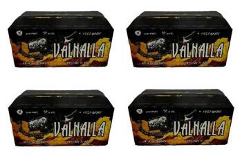 Valhalla Field Paintballs .68 cal (Winter) (4 boxes)