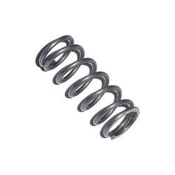 FT-12/FT50 #52 Valve Spring 98-32 11730